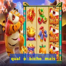 qual o bicho mais velho da loteria dos sonhos